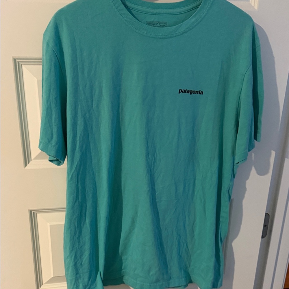 Patagonia Men's Aqua Blue Short Sleeve Tee large
